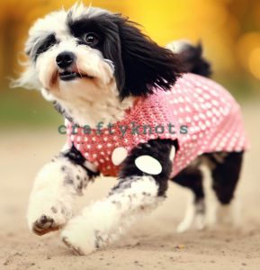 Playful Polka Dots Dog Sweater Pattern