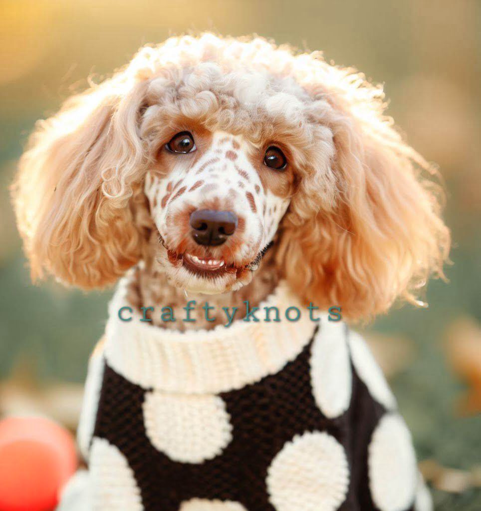 Polka Dots Dog crochet Sweater Pattern