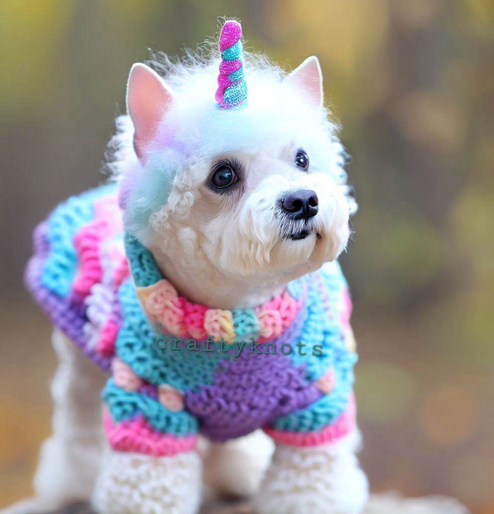 Whimsical Unicorn Dog Sweater Crochet Pattern